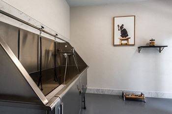 Pet wash station